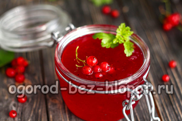 gelée de groseilles