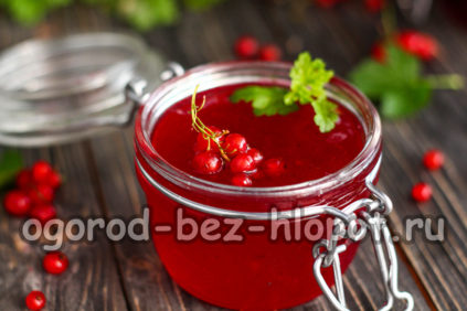 gelée de groseilles