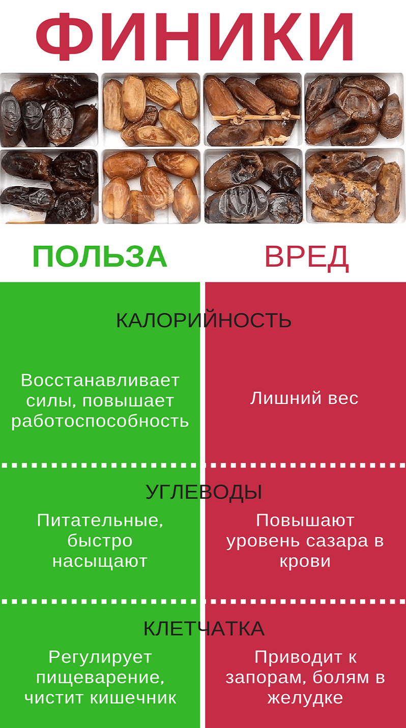 Nutzen und Risiken von Datteln