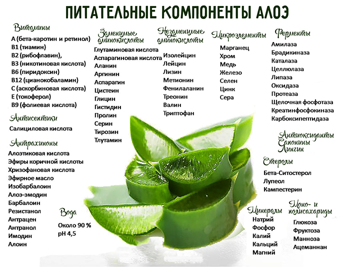Nährstoffbestandteile von Aloe