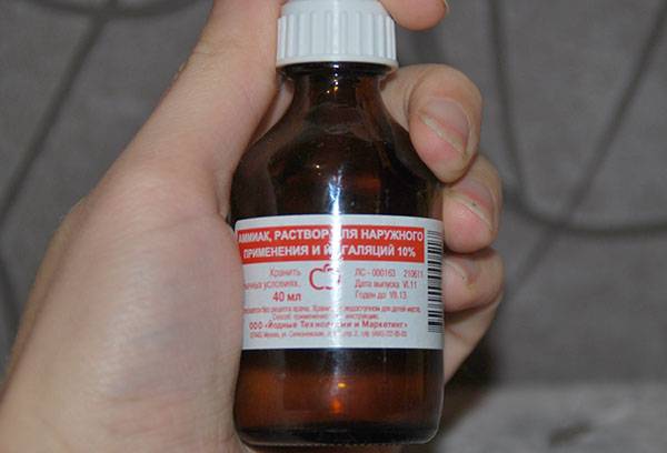 Amonyak