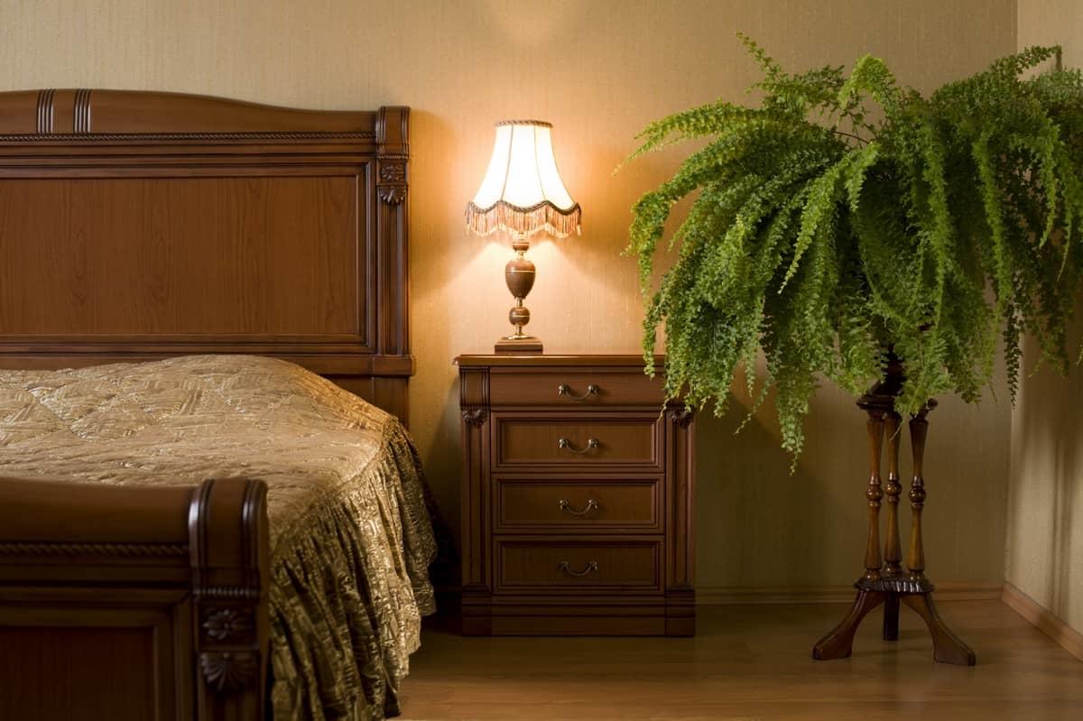 Fougère dans la chambre