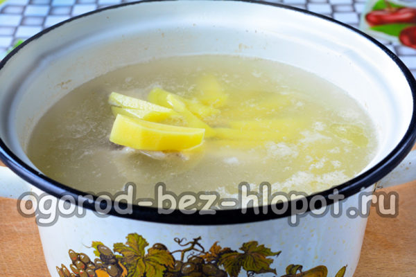 Kartoffeln in Brühe kochen