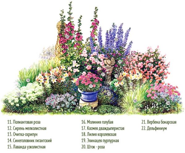 Blumenbeet-Diagramm