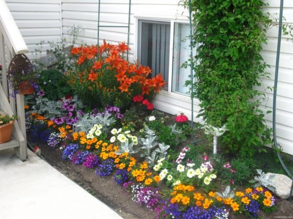 Parterres de fleurs à faire soi-même à la datcha
