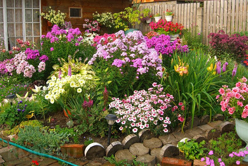 durchgehend blühendes Blumenbeet