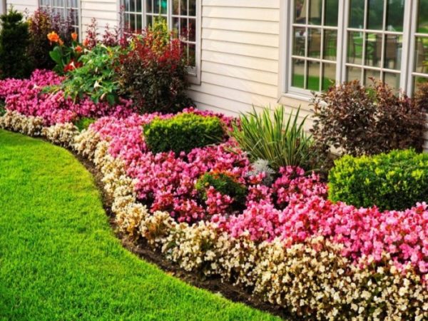 Parterres de fleurs à faire soi-même à la datcha