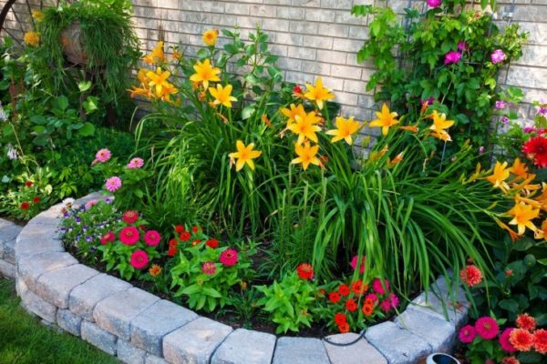 Parterres de fleurs à faire soi-même à la datcha