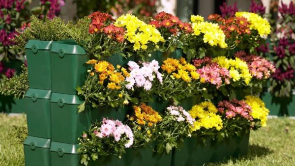 parterres de fleurs à la datcha