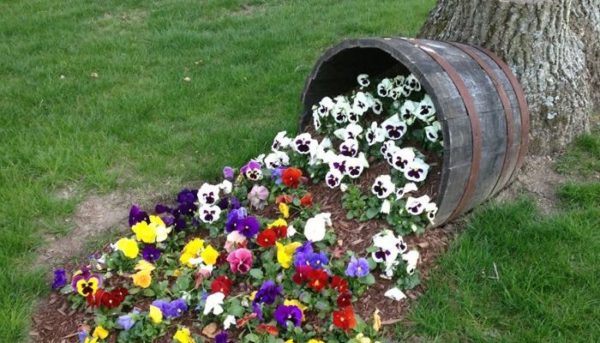 Parterres de fleurs à faire soi-même à la datcha