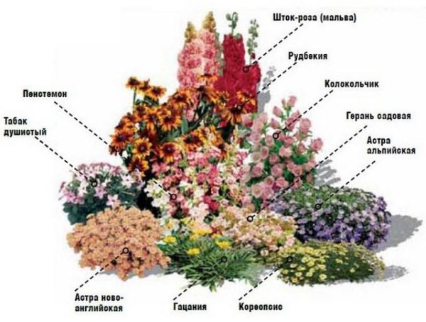 Blumenbeet-Diagramm