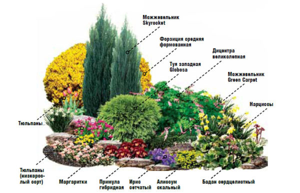 Blumenbeet-Diagramm