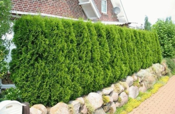 Hecke