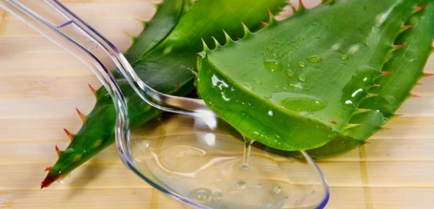 Aloe-vera-Saft zum Spülen
