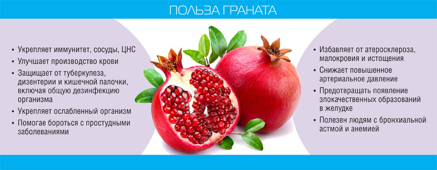 Φαρμακευτικές ιδιότητες