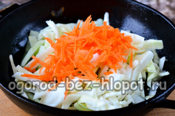 Kohl, Zwiebeln und Karotten anbraten