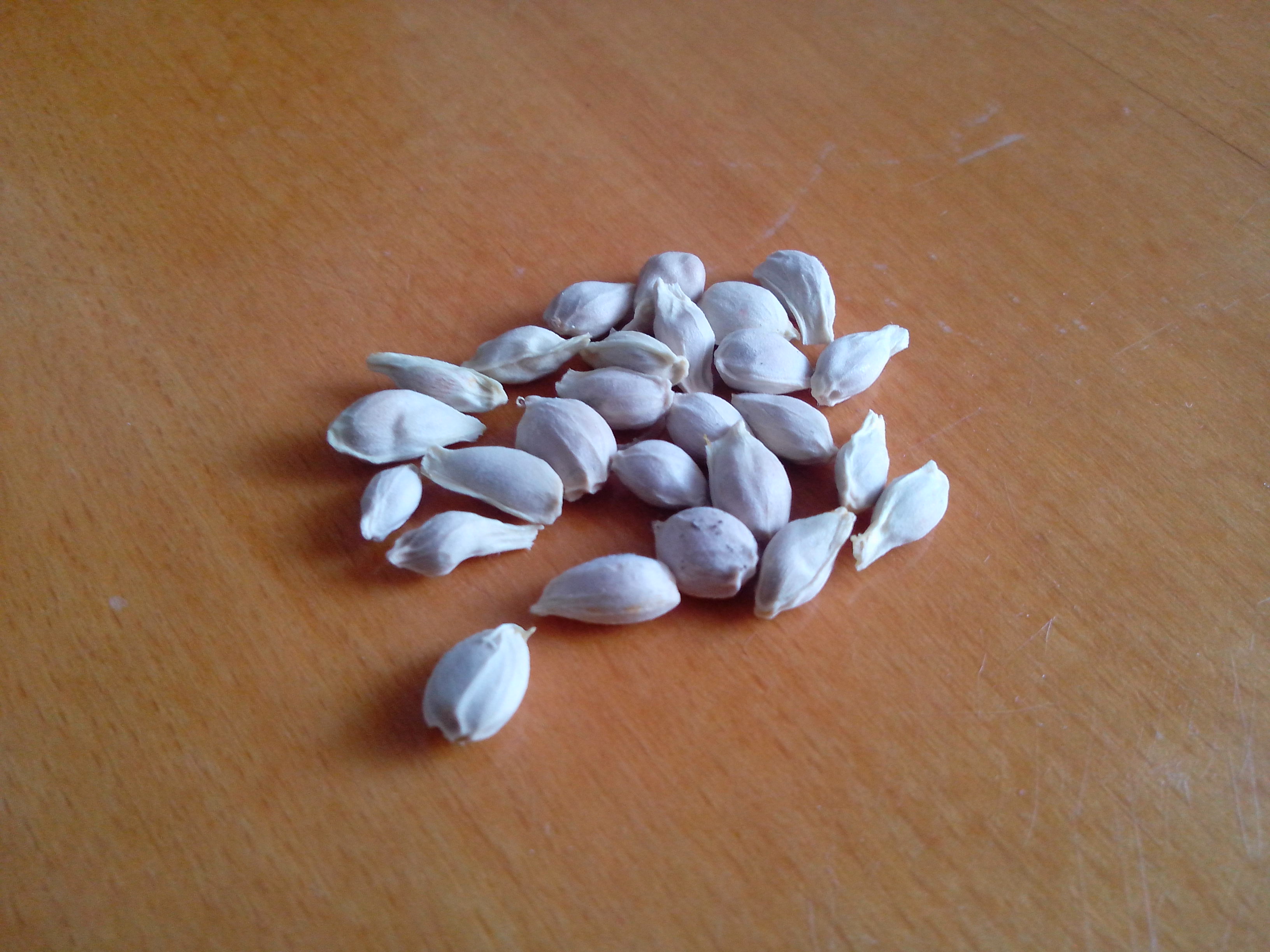 Mandarinensamen