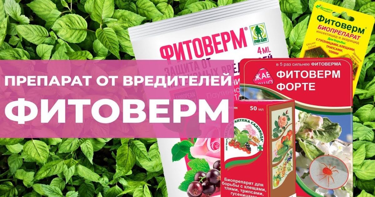 Fitoverm