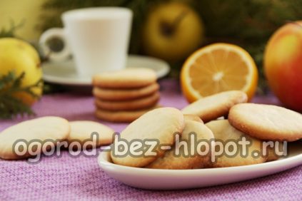 бисквитки с туршия и саламура