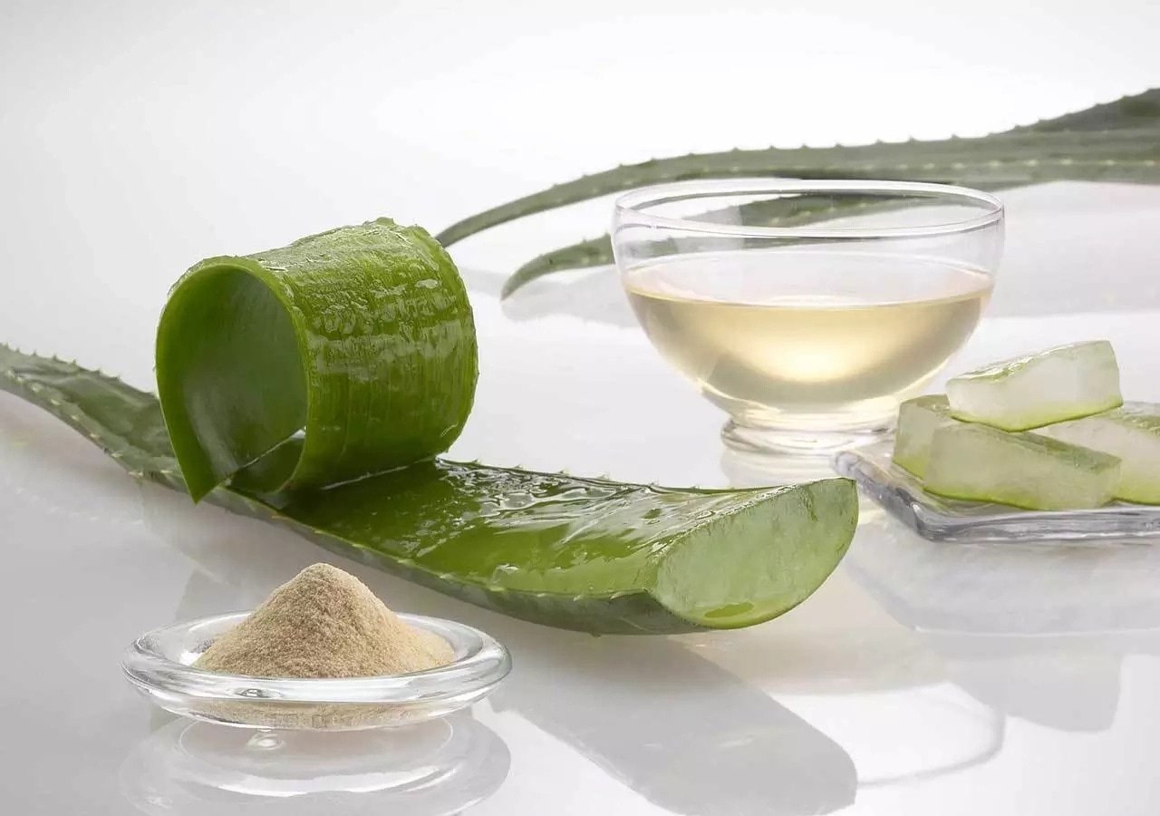 Die Verwendung von Aloe in der Kosmetik