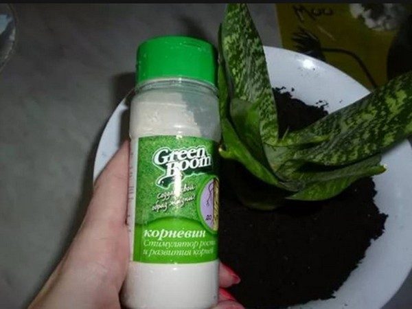 Topdressing