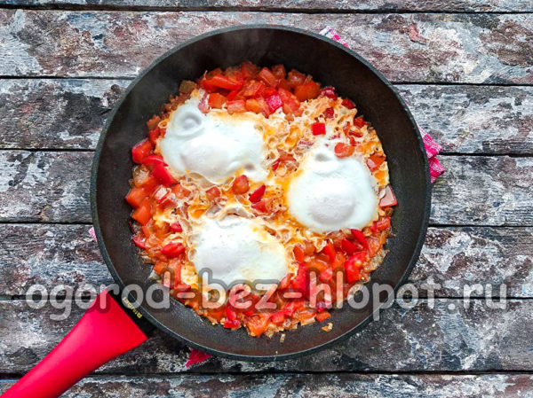 La shakshuka est prête