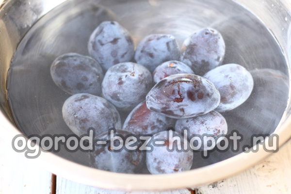Pflaumen waschen