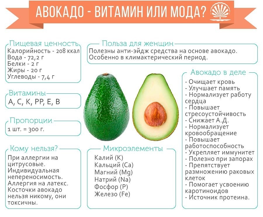 Zusammensetzung der Avocado