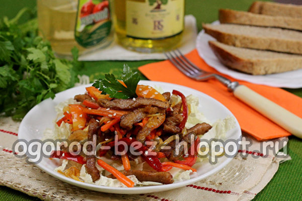 La ensalada tibia con carne y verduras está lista.