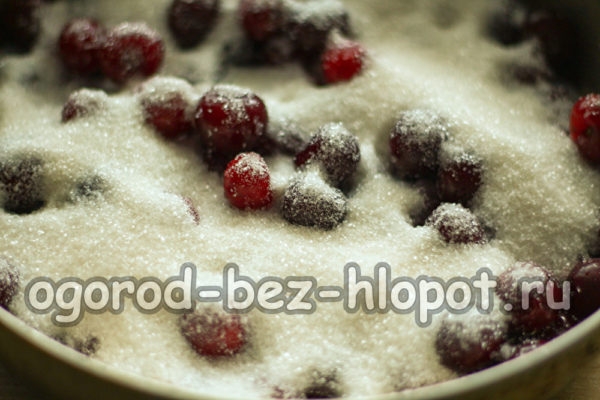 Saupoudrer les cerises de sucre