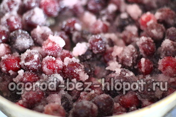 cerises au sucre