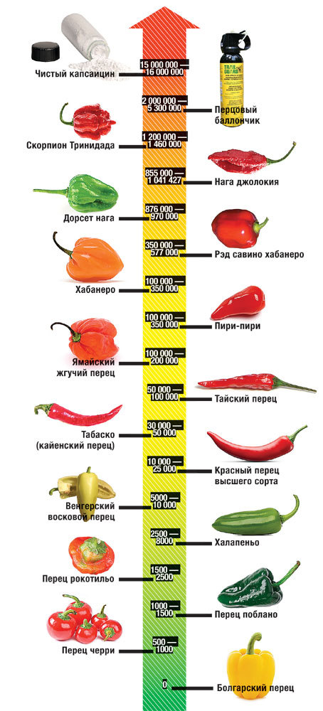 Échelle de Scoville