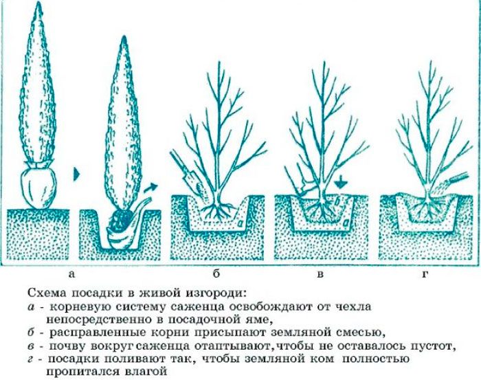 Правила за кацане