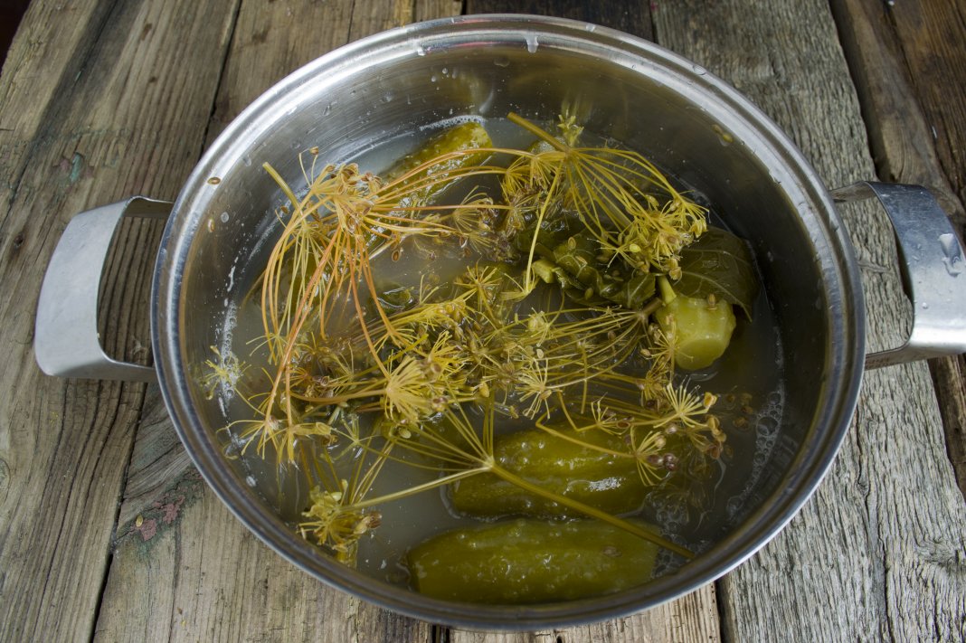 Salaison
