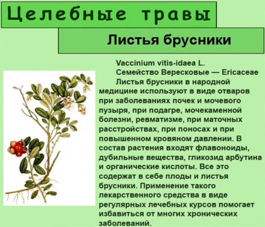 Θεραπευτικές ιδιότητες των φύλλων