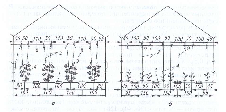 Types of trellises
