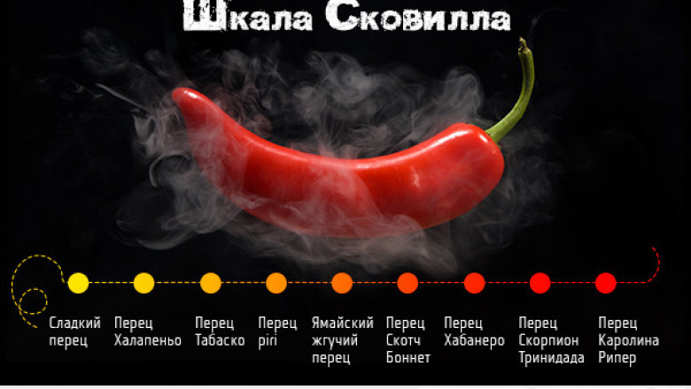 Скалата на Сковил