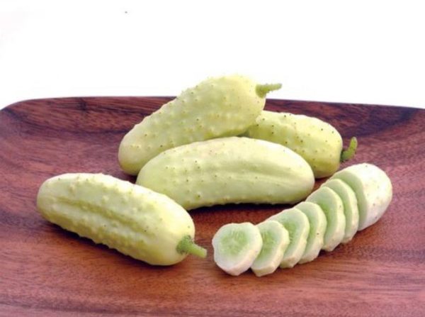 cetriolo bianco