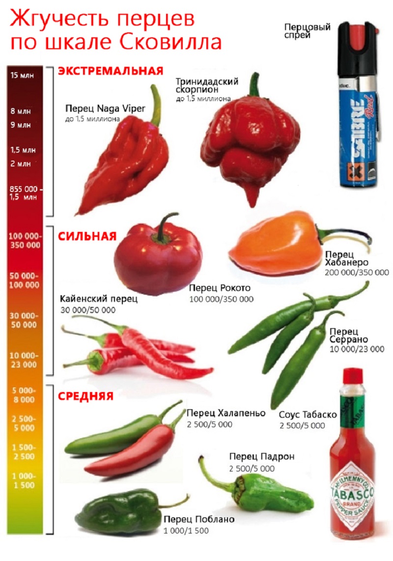 Η κλίμακα Scoville των καυτερών πιπεριών