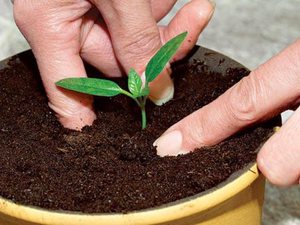 Compattazione del terreno