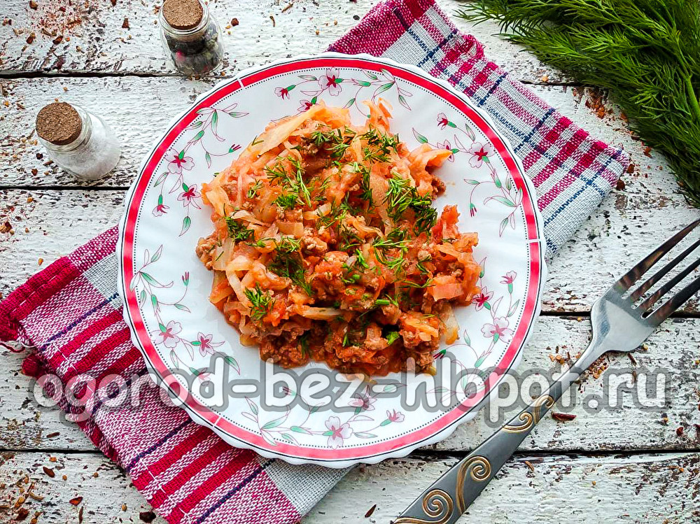 chou mijoté avec de la viande hachée