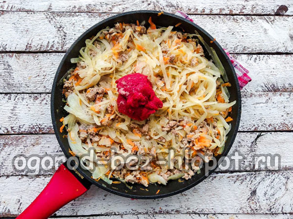 ajouter la pâte de tomates et les épices