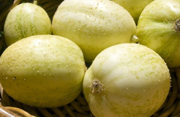 cetriolo limone