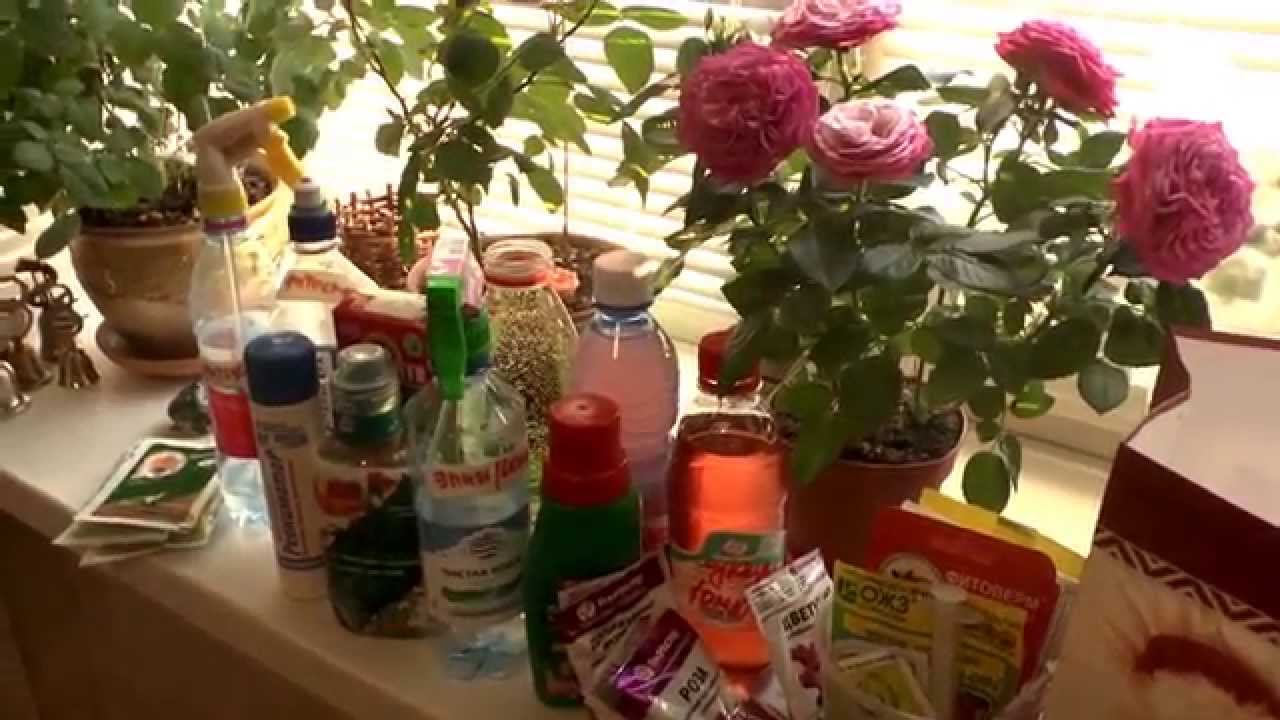 Λίπασμα επιφάνειας