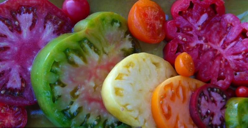 ungewöhnliche Tomatensorten