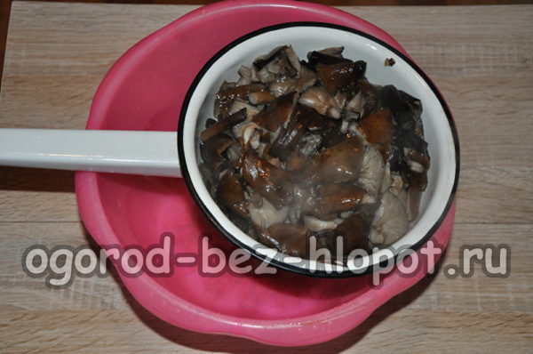 scartare i funghi in uno scolapasta