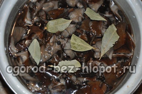 versare la marinata sui funghi