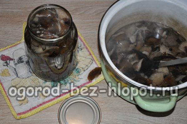 disporre i funghi nei barattoli