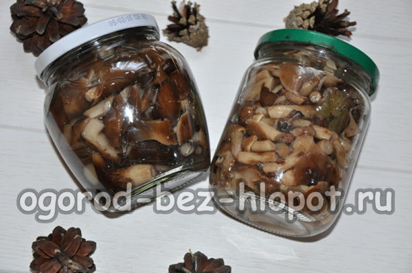funghi al miele sottaceto
