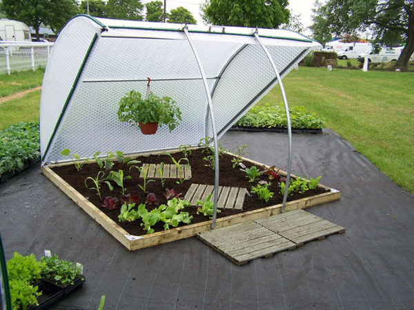 contenitore per il pane in serra